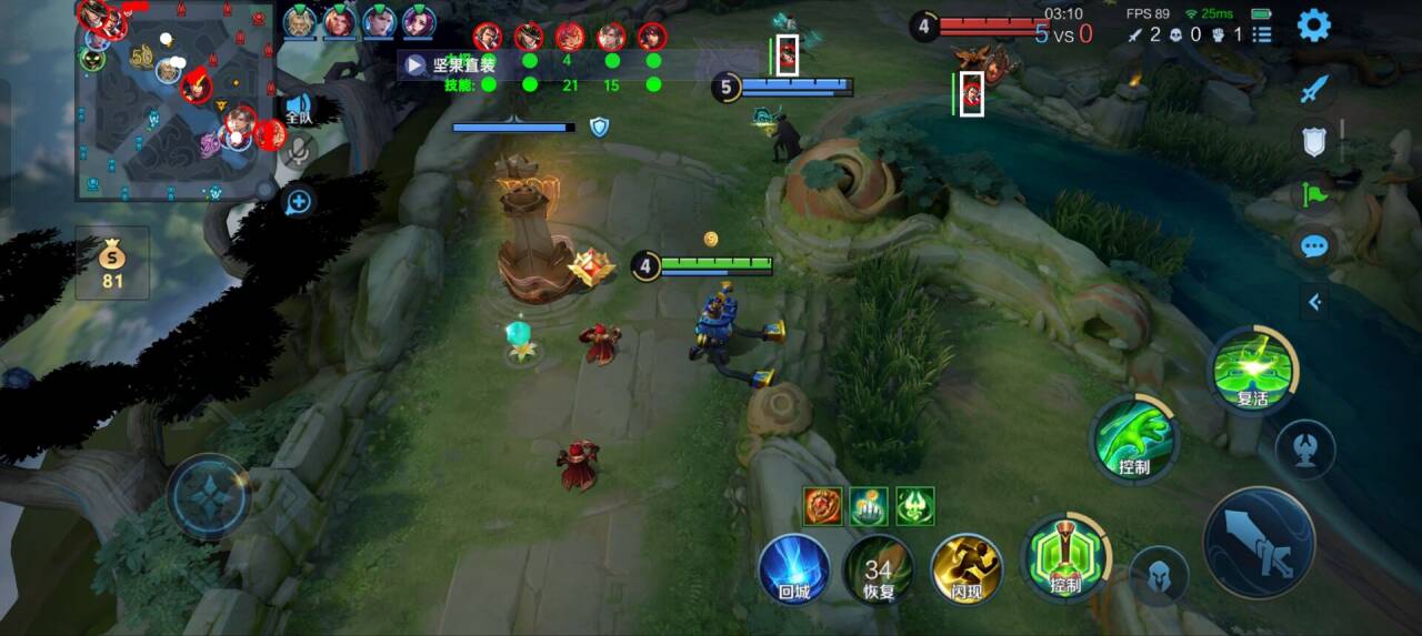 王者荣耀辅助《大熊》容器直装