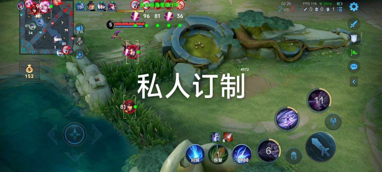 王者直装【ray】辅助