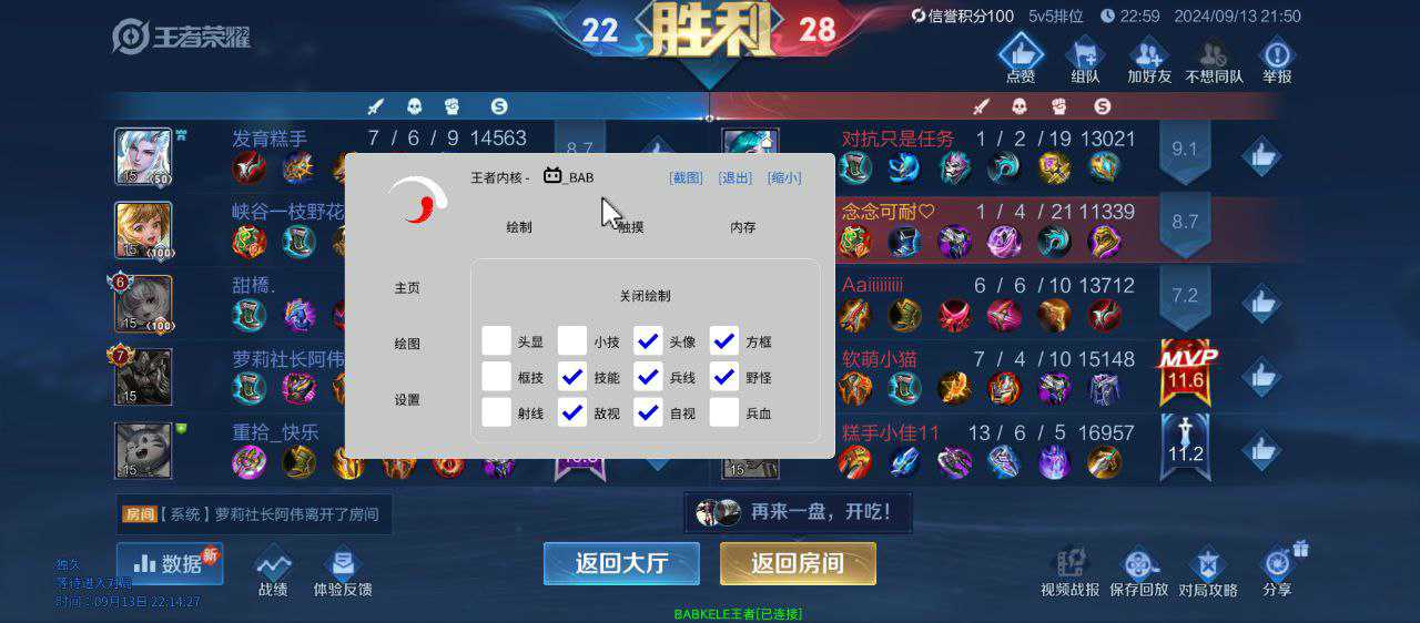 王者荣耀暗杀星辅助科技