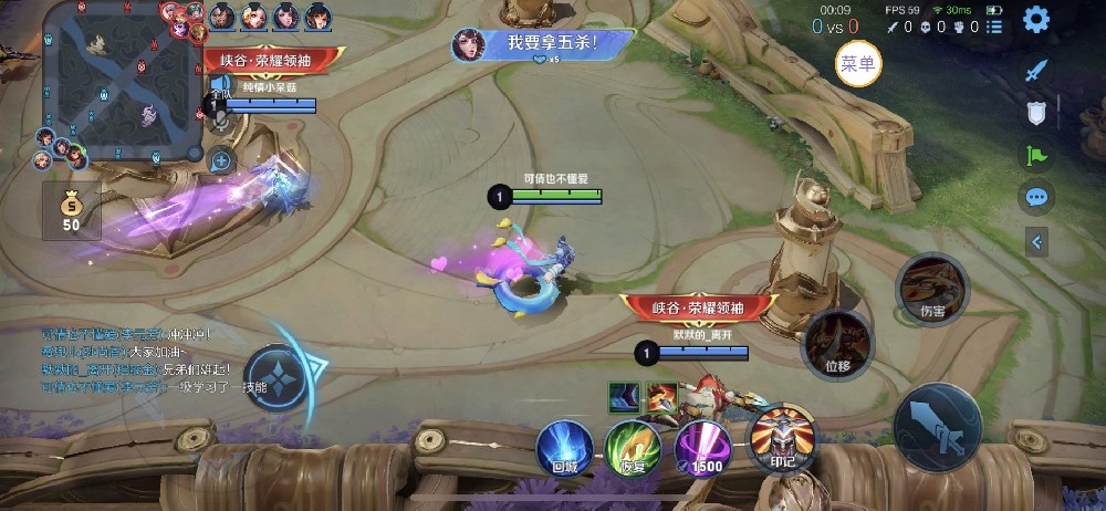 王者荣耀【Nikou定制版内核】辅助